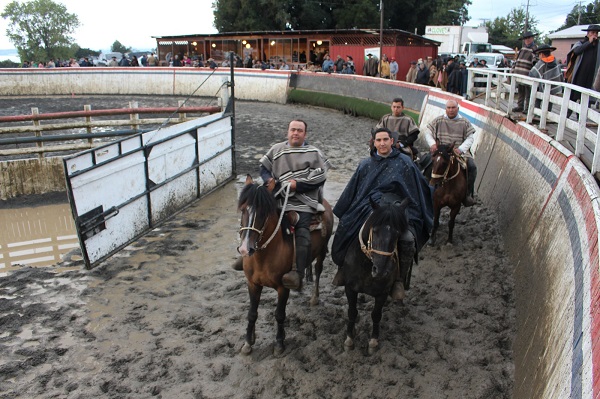 DE DULCE Y AGRAZ LA VICTORIA DEL CRIADERO DON FELI EN IA DE LAGO RANCO